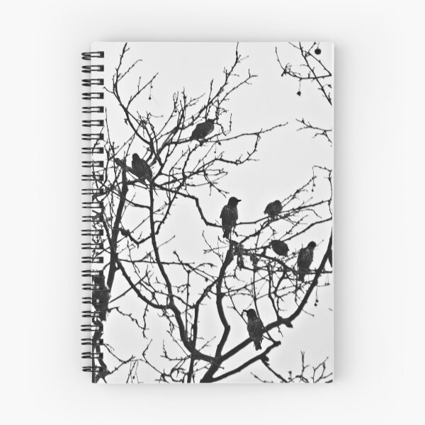 Item preview, Roosting rooks. designed and sold by Paul Pasco.