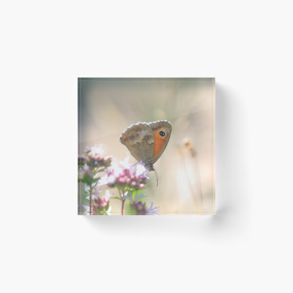 Item preview, Gatekeeper Butterfly on flower designed and sold by ScaleDesigns.