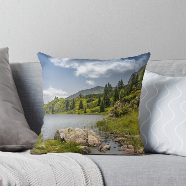 Item preview, Tranquility at Lake Colbricon, Italy designed and sold by Viv Thompson Photography .
