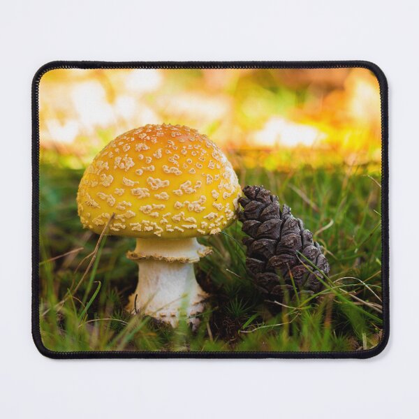 Item preview, Amanita Mushroom with a Pinecone designed and sold by The Clearing Blog Shop.