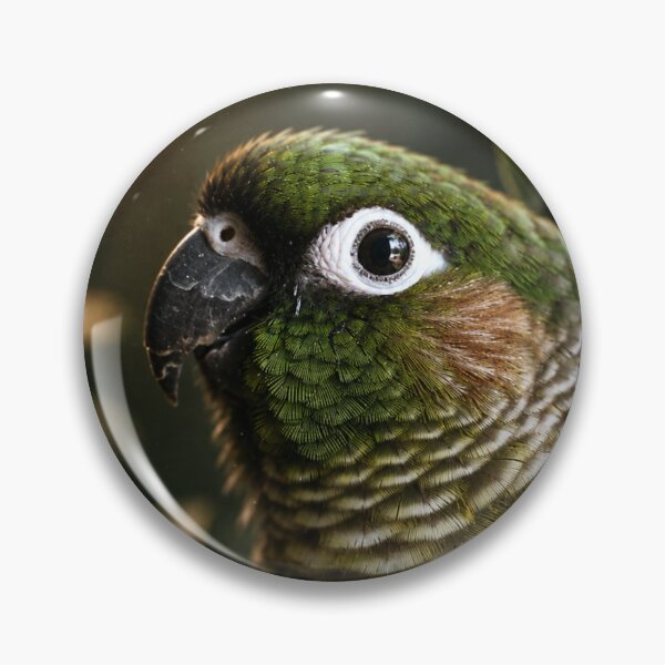 Item preview, Emerald in the Shadows designed and sold by Kimberly Palmer.