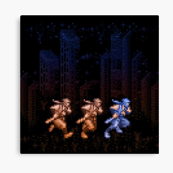 Ninja Shadows Canvas Print