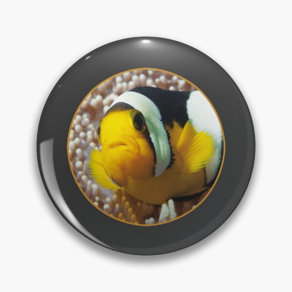 Item preview, Saddleback Clownfish Porthole Design * Ocean Circle Art |  designed and sold by Photo & Design Ute Niemann.