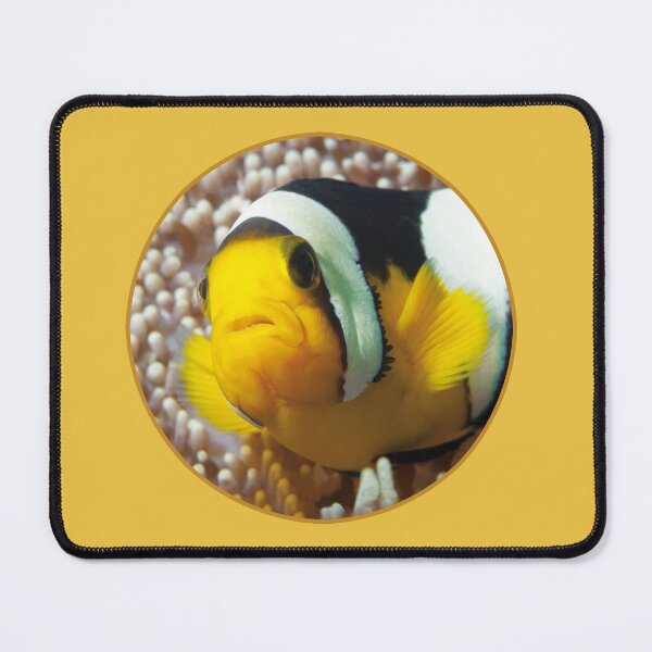 Item preview, Saddleback Clownfish Porthole Design * Ocean Circle Art | designed and sold by Photo & Design Ute Niemann.