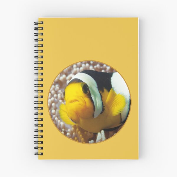 Item preview, Saddleback Clownfish Porthole Design * Ocean Circle Art |  designed and sold by Photo & Design Ute Niemann.