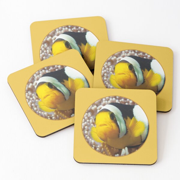 Item preview, Saddleback Clownfish Porthole Design * Ocean Circle Art |  designed and sold by Photo & Design Ute Niemann.