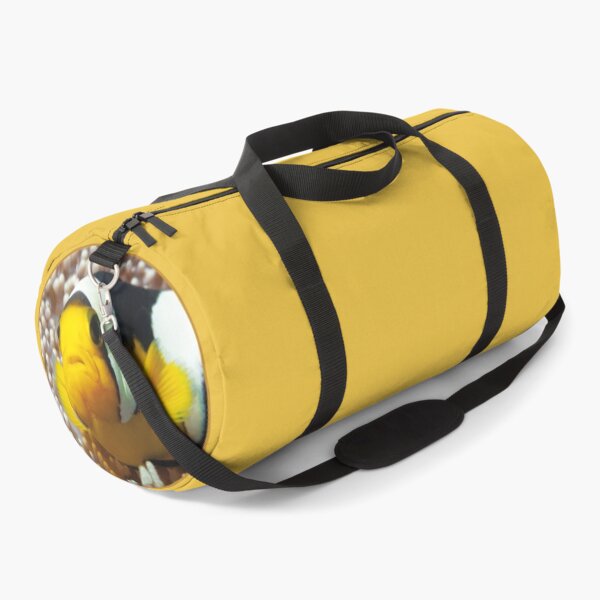 Item preview, Saddleback Clownfish Porthole Design * Ocean Circle Art | designed and sold by Photo & Design Ute Niemann.