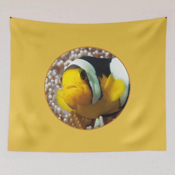 Item preview, Saddleback Clownfish Porthole Design * Ocean Circle Art |  designed and sold by Photo & Design Ute Niemann.