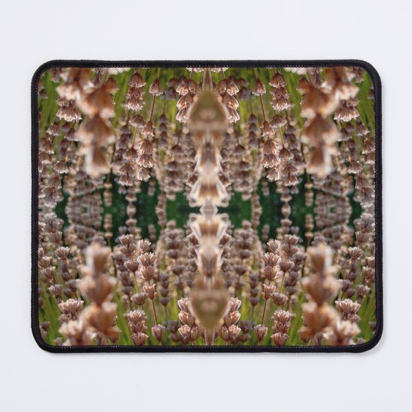Item preview, Lavender in the light, mirror photo designed and sold by lyloubeaupere.