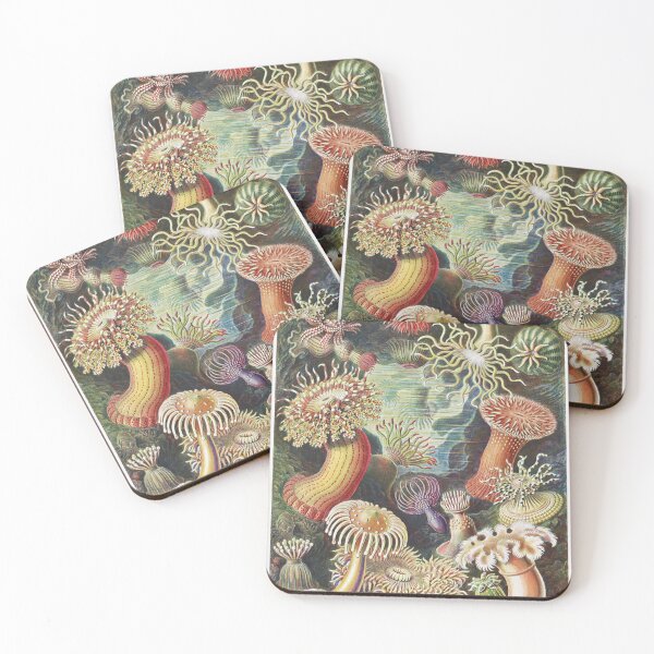 Item preview, Vintage Sea Anemones – Ernst Haeckel designed and sold by PixelOutLaws.