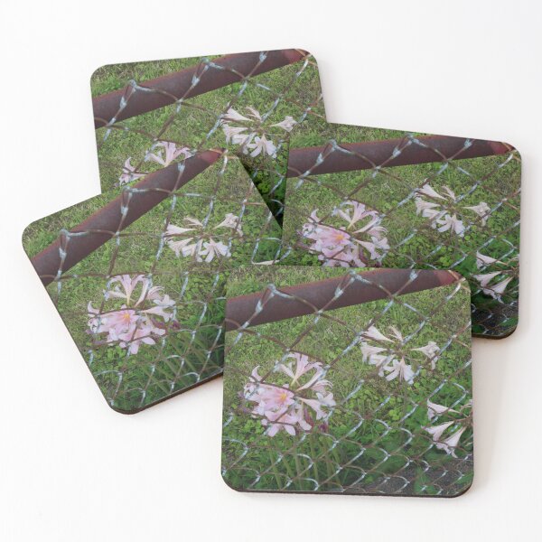 Item preview, Chain Link Lilies I designed and sold by OHPhotography.