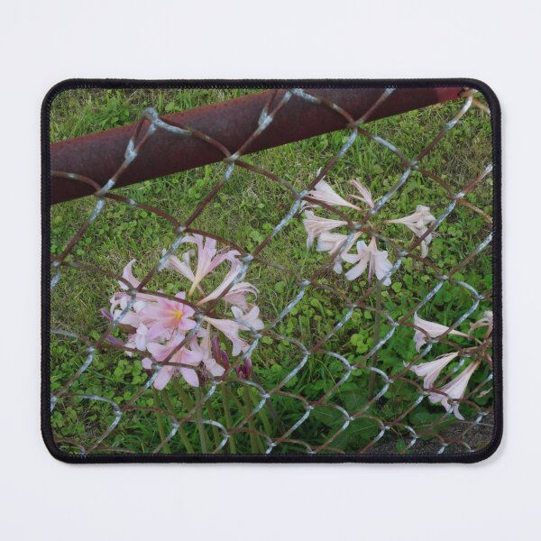 Item preview, Chain Link Lilies I designed and sold by OHPhotography.