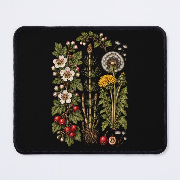 Item preview, Vintage Hawthorn, Horsetail and Dandelion Botanical Art designed and sold by Anyshca.