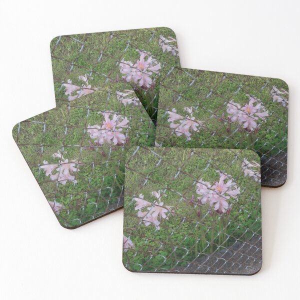 Item preview, Chain Link Lilies II designed and sold by OHPhotography.