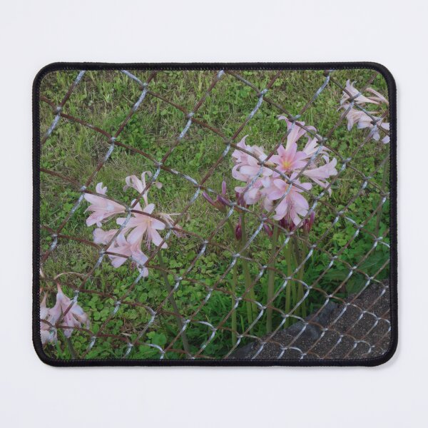 Item preview, Chain Link Lilies II designed and sold by OHPhotography.