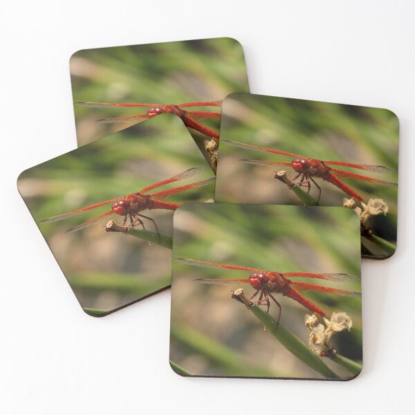 Item preview, Fire Red Drangonfly designed and sold by Kimberly Palmer.
