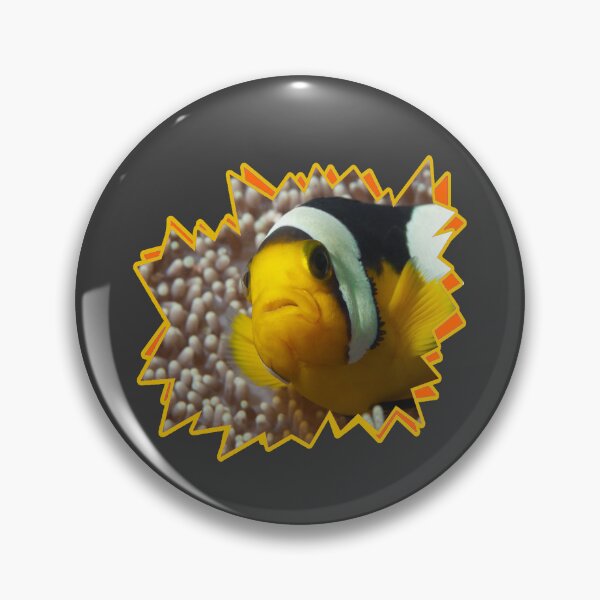 Item preview, Saddleback Clownfish Close-Up Starburst * Raja Ampat Art |  designed and sold by Photo & Design Ute Niemann.
