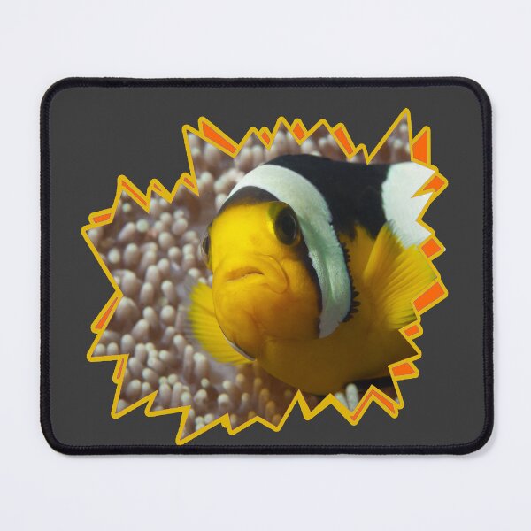 Item preview, Saddleback Clownfish Close-Up Starburst * Raja Ampat Art | designed and sold by Photo & Design Ute Niemann.