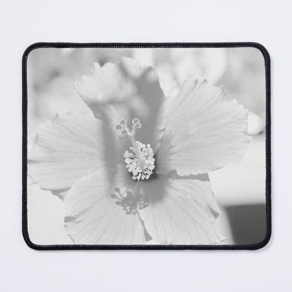 Item preview, Close-up of white hibiscus. designed and sold by momentscapturedbymelanie.