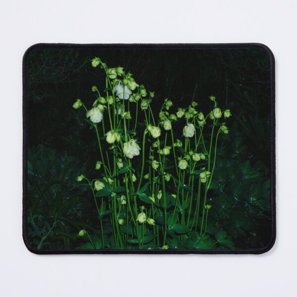Item preview, Columbine at Night designed and sold by OHPhotography.