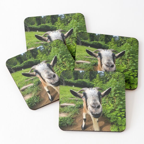 Item preview, Smiling goat designed and sold by Astute-Artio-Photography.