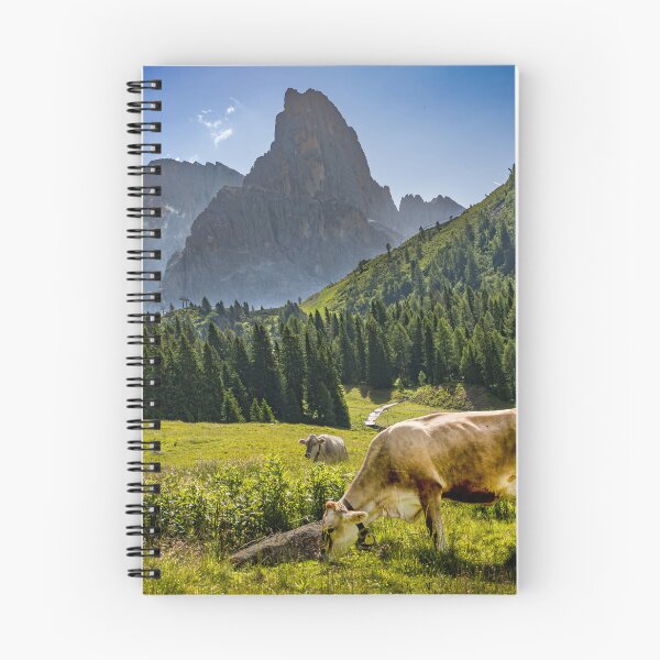 Item preview, The Malga Rolle - Italy designed and sold by Viv Thompson Photography .