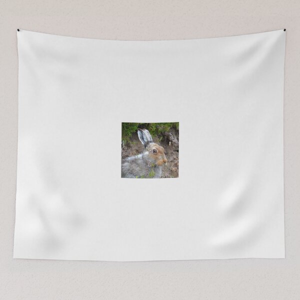 Item preview, Mountain hare portrait.  designed and sold by Neil MacNeill.