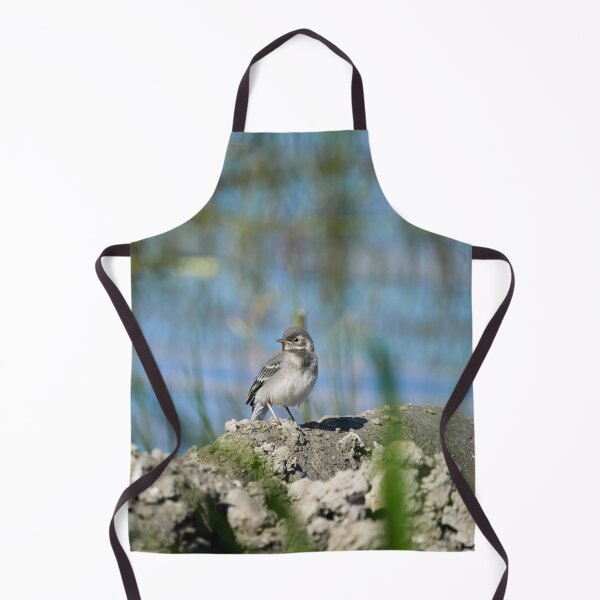 Item preview, The young one. White Wagtail designed and sold by Jouko Lehto Photography.