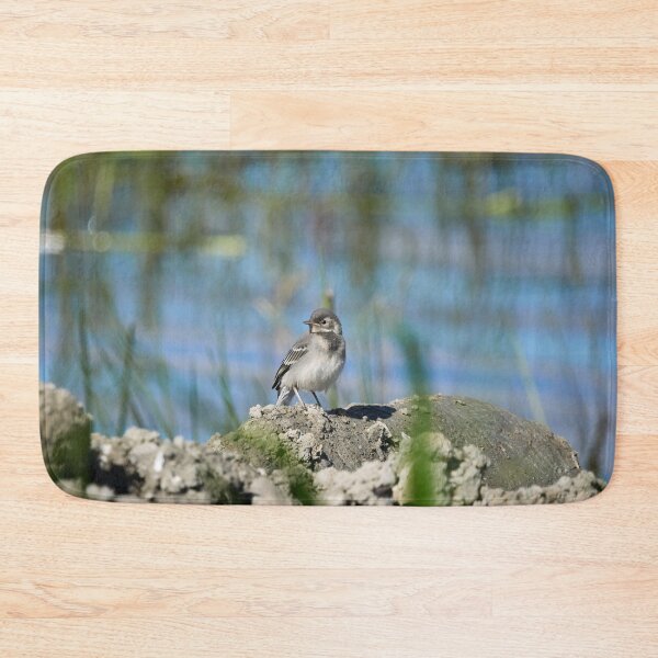 Item preview, The young one. White Wagtail designed and sold by Jouko Lehto Photography.