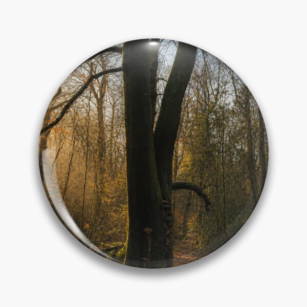 Item preview, Sunset in autumnal woodland designed and sold by Astute-Artio-Photography.