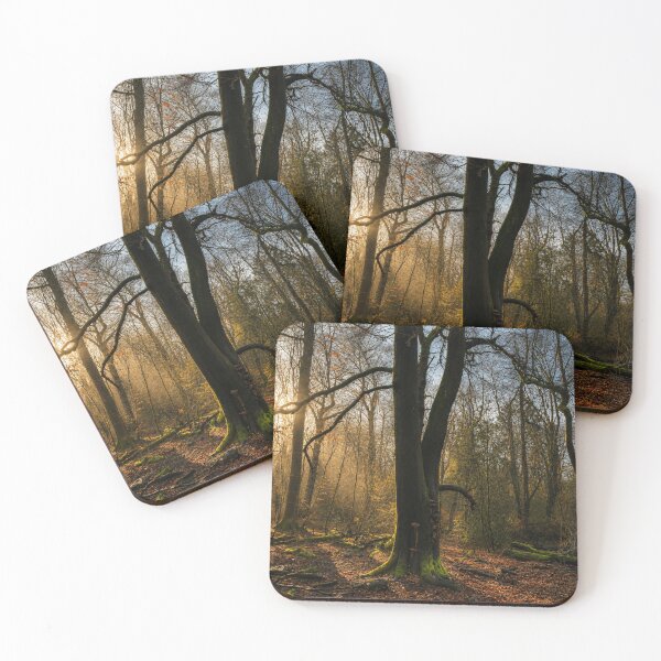 Item preview, Sunset in autumnal woodland designed and sold by Astute-Artio-Photography.