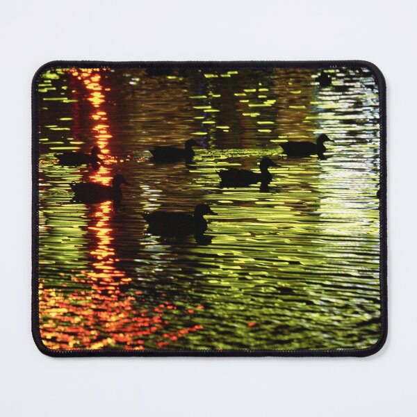 Item preview, Ducks in Gypsy Hill Park I designed and sold by OHPhotography.
