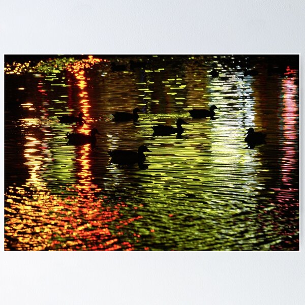 Item preview, Ducks in Gypsy Hill Park I designed and sold by OHPhotography.