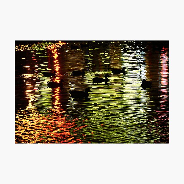 Item preview, Ducks in Gypsy Hill Park I designed and sold by OHPhotography.
