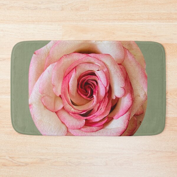 Item preview, Elegant Bicolor Pink and White Rose Isolated on White designed and sold by BalkanBloom.