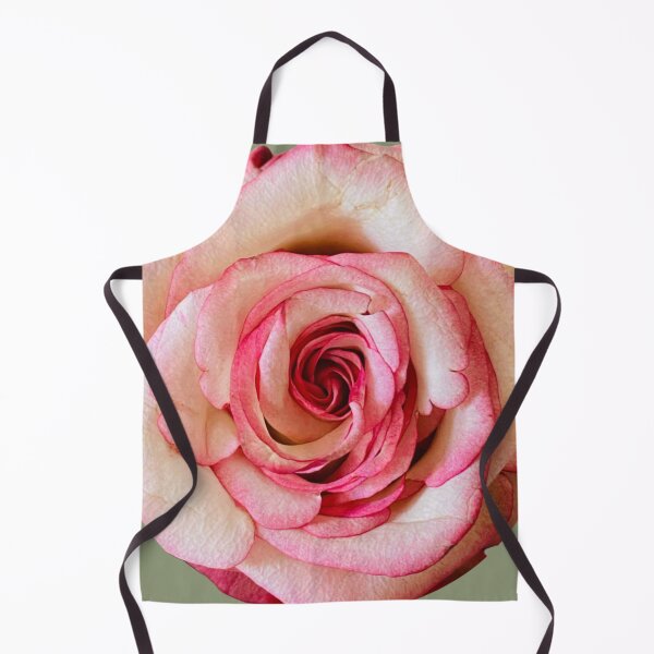 Item preview, Elegant Bicolor Pink and White Rose Isolated on White designed and sold by BalkanBloomArt.