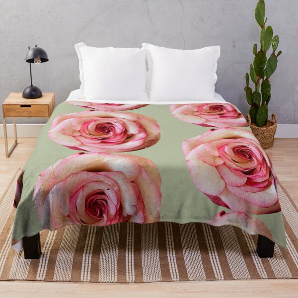 Item preview, Elegant Bicolor Pink and White Rose Isolated on White designed and sold by BalkanBloom.