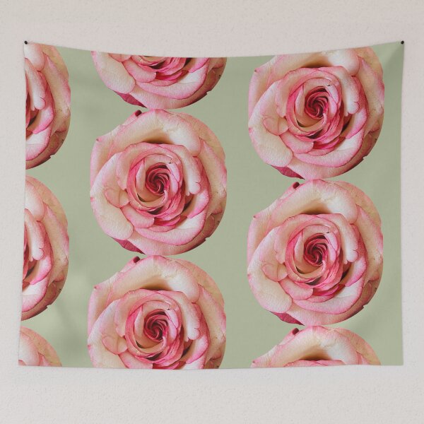 Item preview, Elegant Bicolor Pink and White Rose Isolated on White designed and sold by BalkanBloom.