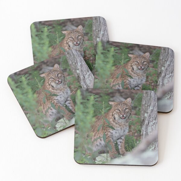 Item preview, Awesome Bobcat designed and sold by LisaNaturePhoto.