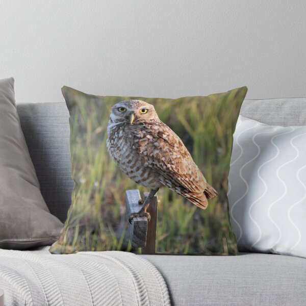 Item preview, A Burrowing Owl designed and sold by NickTshirts.