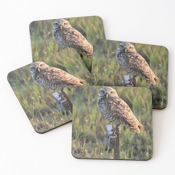 Item preview, A Burrowing Owl designed and sold by NickTshirts.