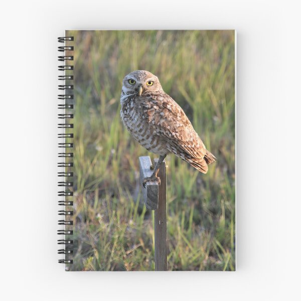 Item preview, A Burrowing Owl designed and sold by NickTshirts.