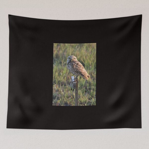 Item preview, A Burrowing Owl designed and sold by NickTshirts.