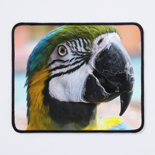 Item preview, Blue and Gold Macaw designed and sold by NickTshirts.