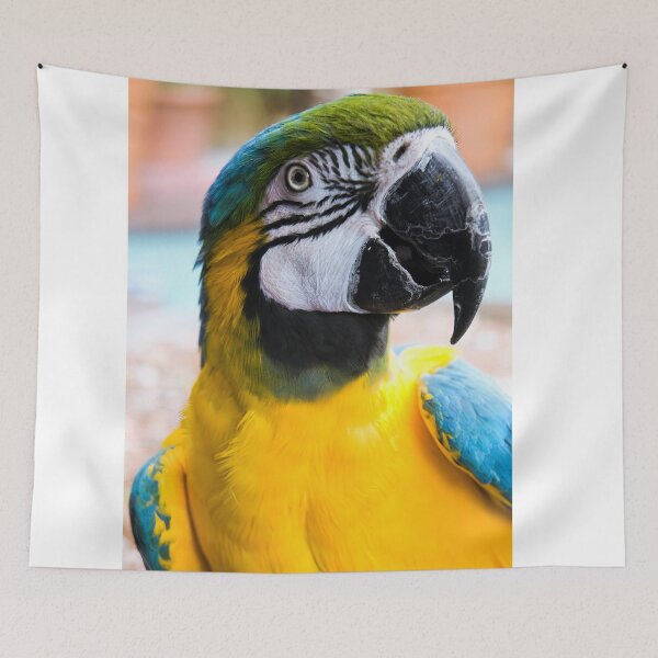 Item preview, Blue and Gold Macaw designed and sold by NickTshirts.