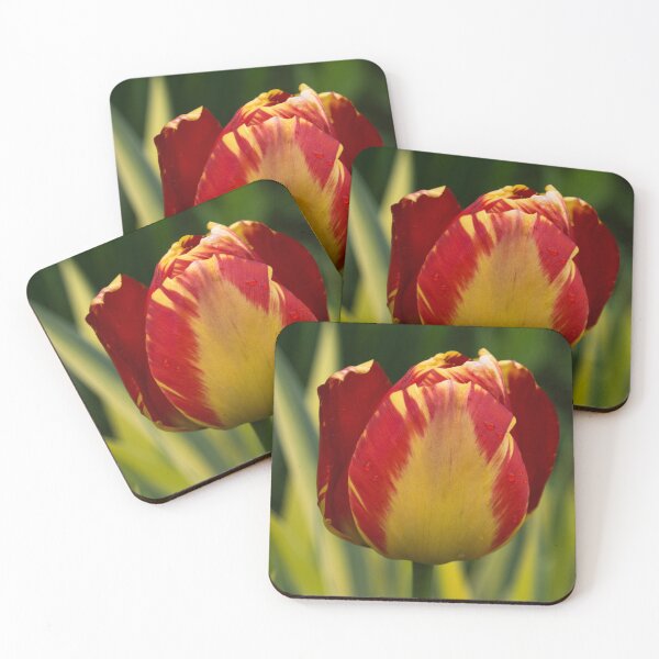 Item preview, Sparkles and Warmth - a Red and Yellow Tulip in the Spring Rain designed and sold by Georgia Mizuleva.