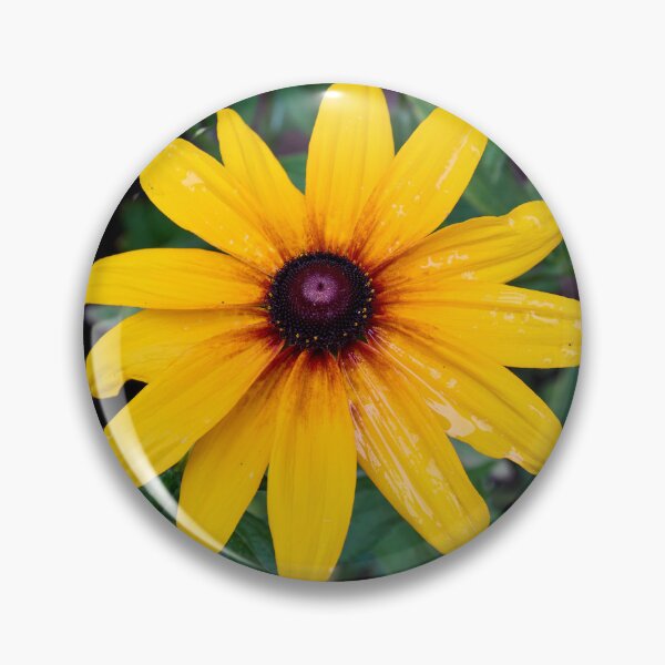 Item preview, The Yellow Rudbeckia designed and sold by Jouko Lehto Photography.