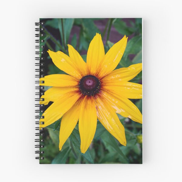 Artikelvorschau, Die Gelbe Rudbeckie entworfen und verkauft von Jouko Lehto Photography.