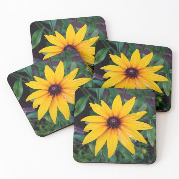 Item preview, The Yellow Rudbeckia designed and sold by Jouko Lehto Photography.