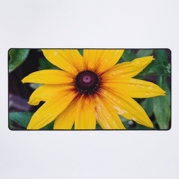 Item preview, The Yellow Rudbeckia designed and sold by Jouko Lehto Photography.
